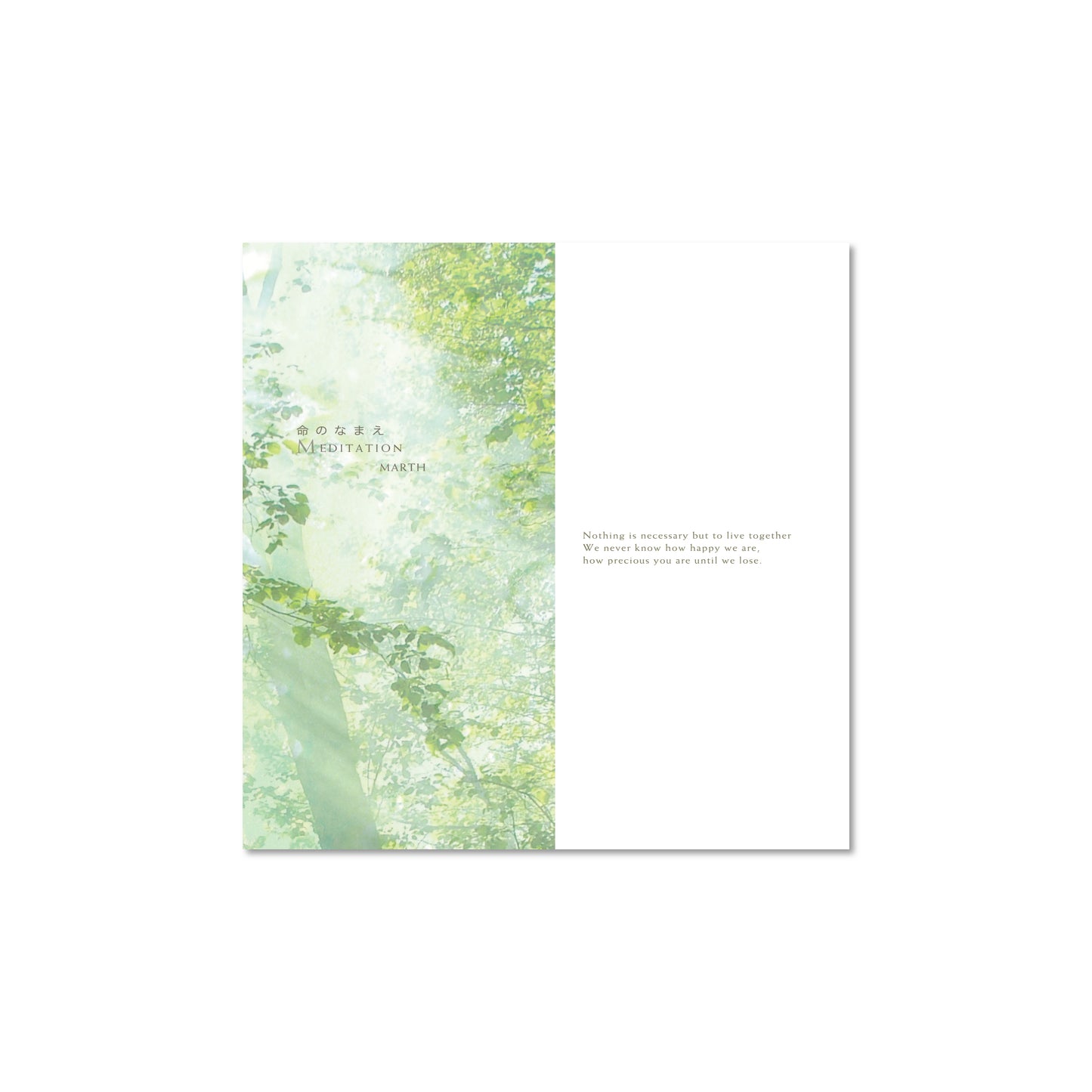 CD Name of Your Life - Meditation