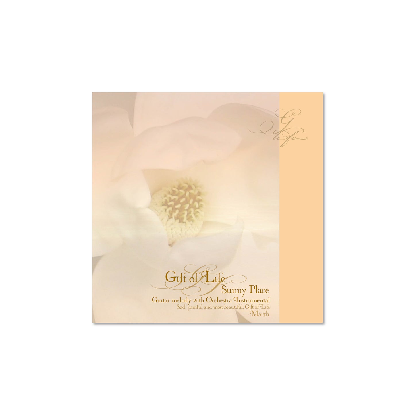 CD Sunny Place - Gift of Life - Guitar with Orchestra