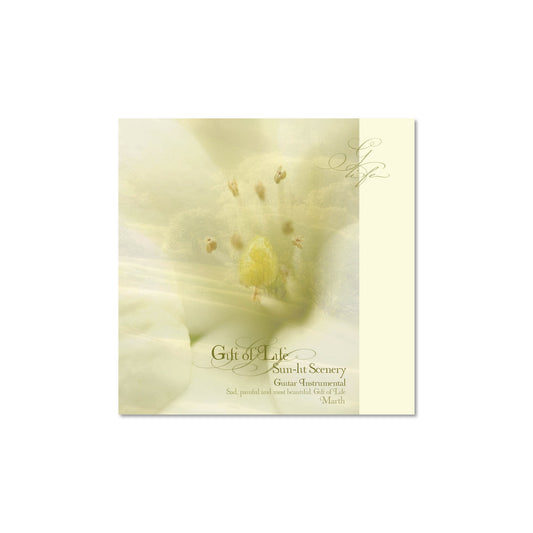 CD Sun-Lit Scenery - Gift of Life - Guitar