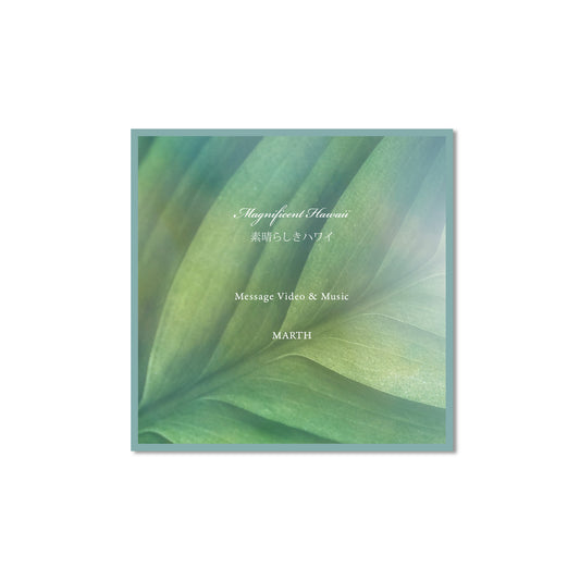 Magnificent Hawaii (E-books, etc.)