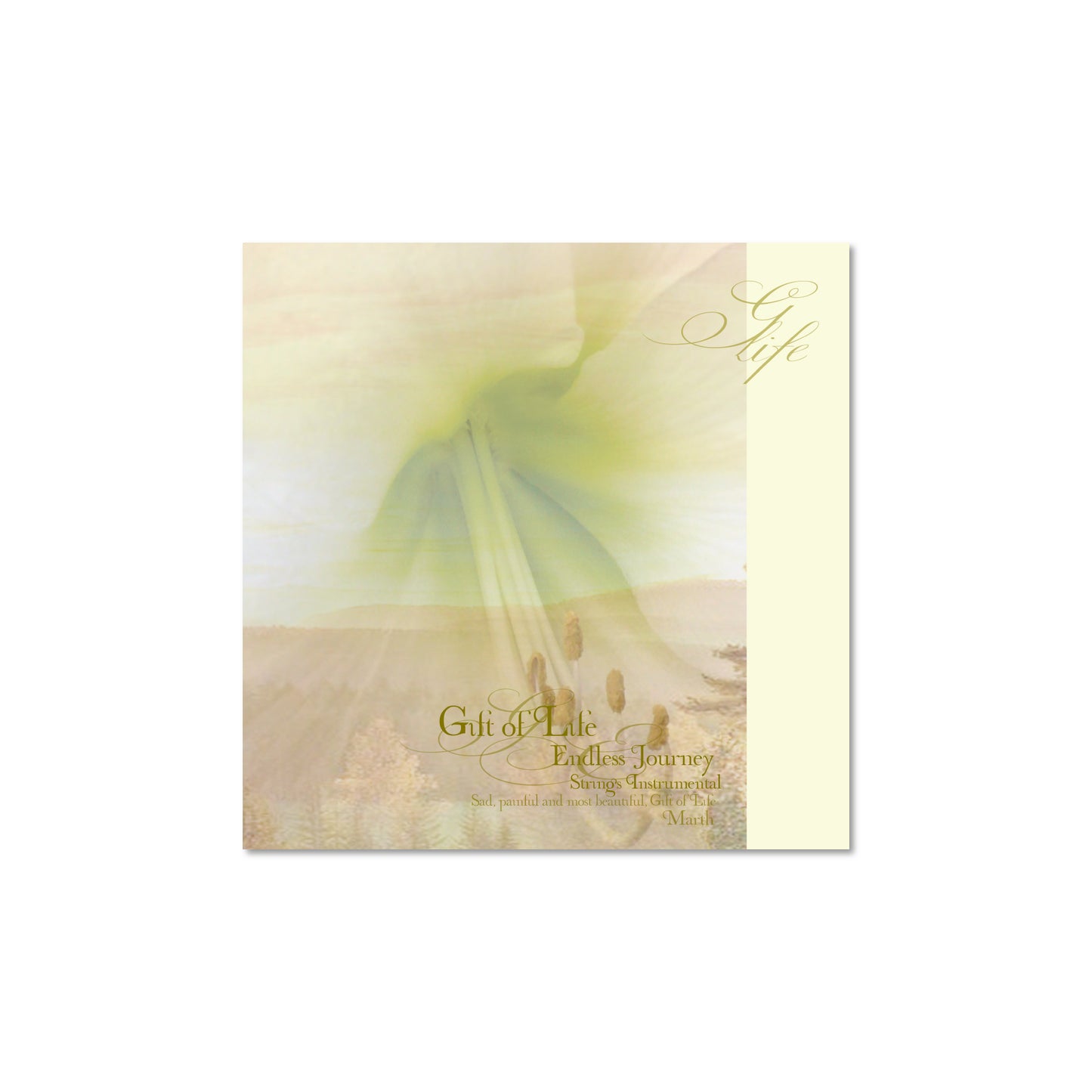 CD Endless Journey - Gift of Life - Strings Orchestra